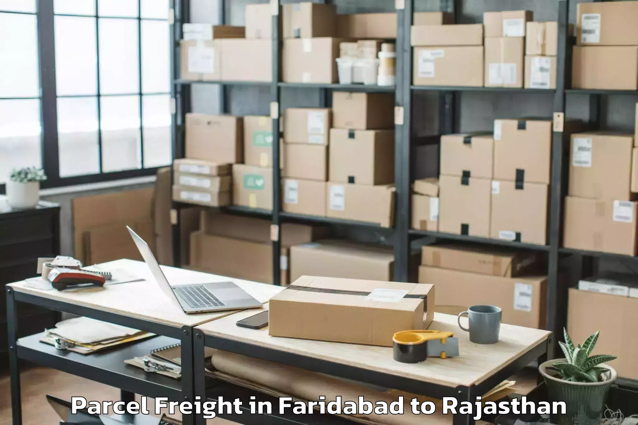 Faridabad to Salumbar Parcel Freight Booking